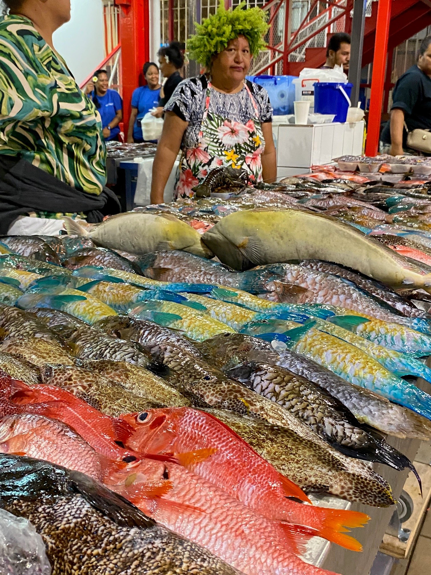 Fresh fish from the market